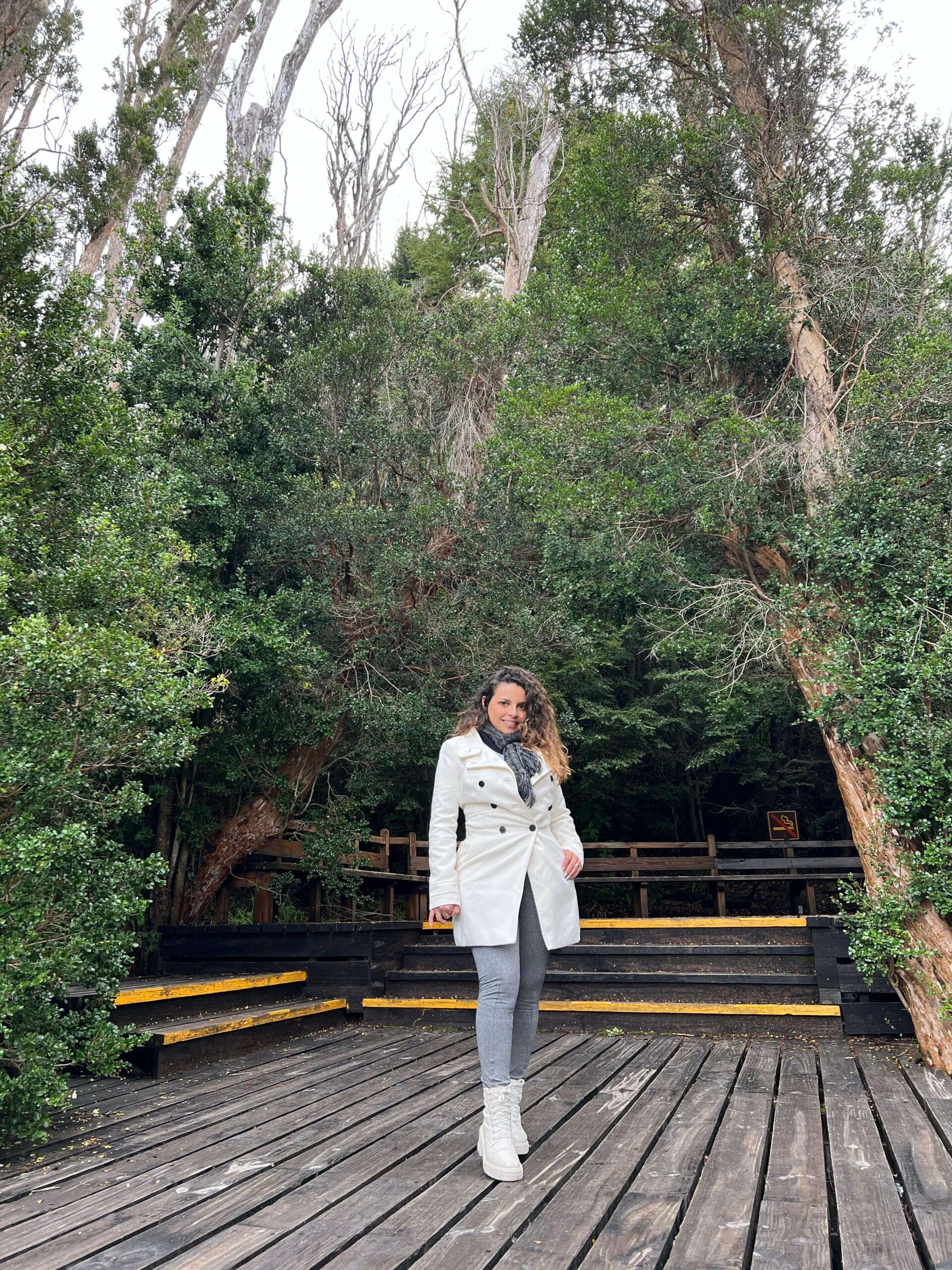 Bosque de Arrayanes Bariloche