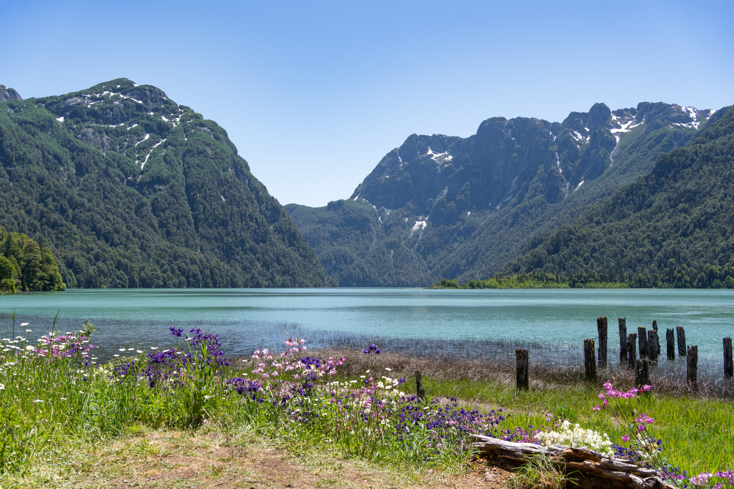 Puerto Blest Bariloche