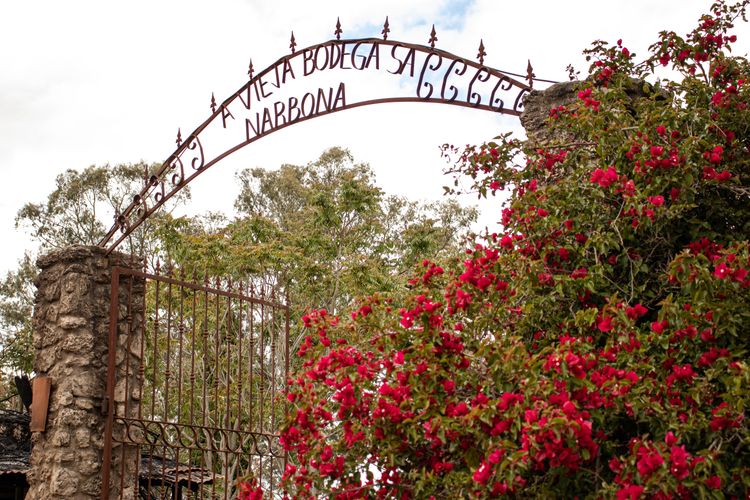 Narbona em Carmelo Uruguai