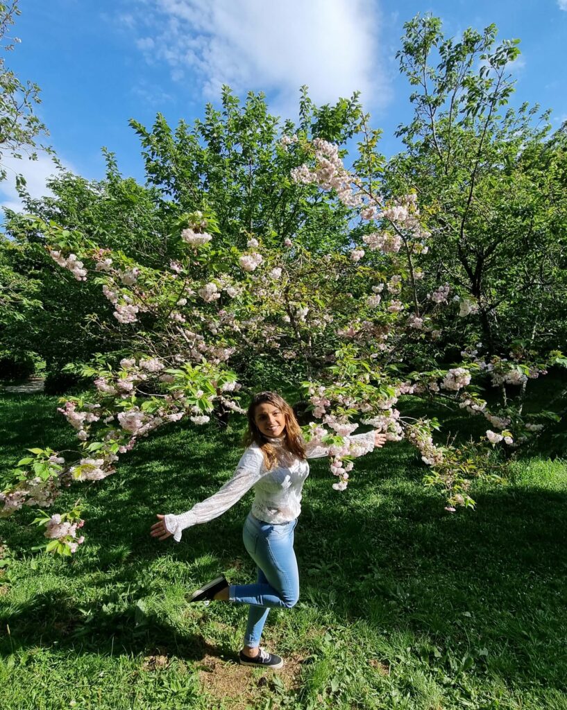 Parque das Cerejeiras